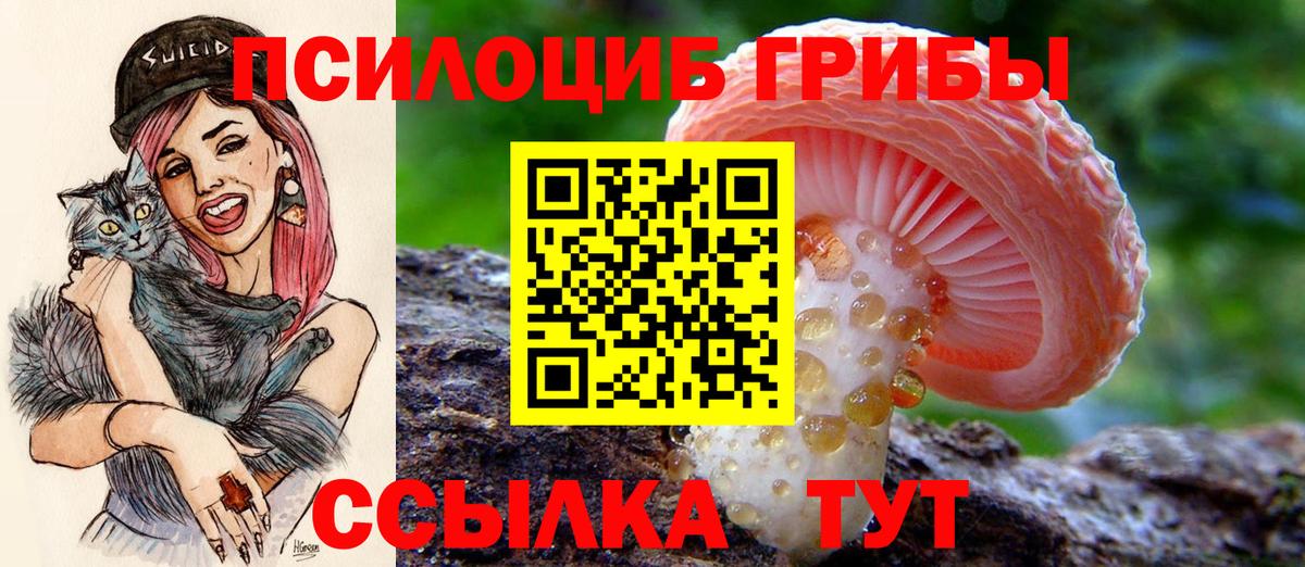 Псилоцибиновые грибы Magic Shrooms  Вход с VPN  Туапсе 