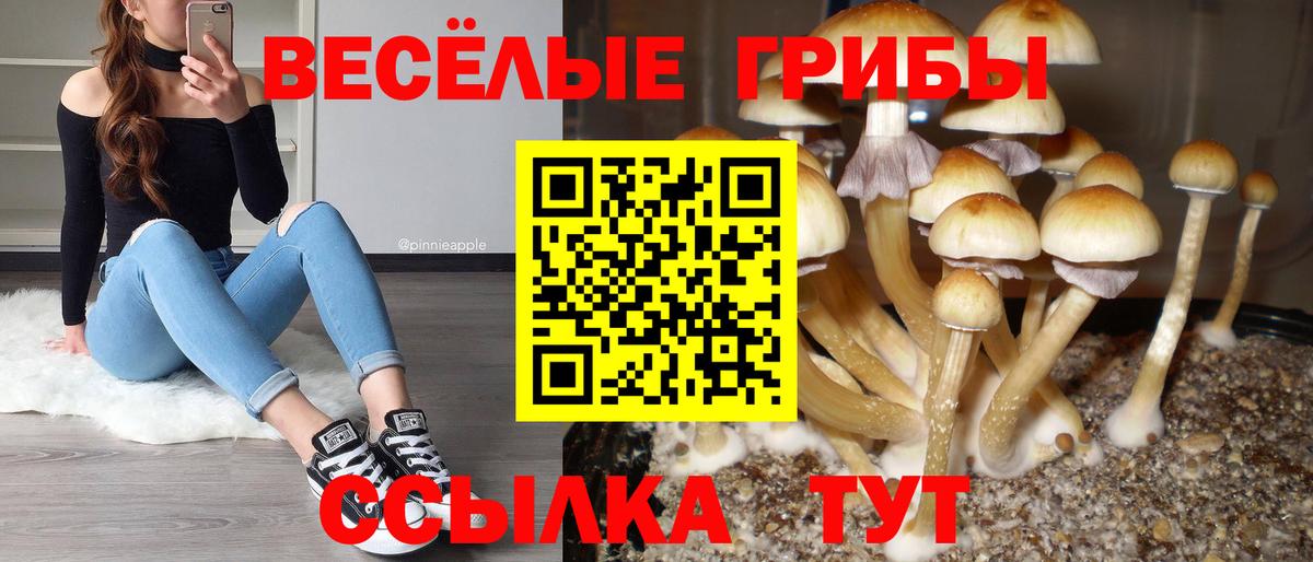 Псилоцибиновые грибы мухоморы Туапсе